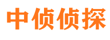 临湘寻人公司